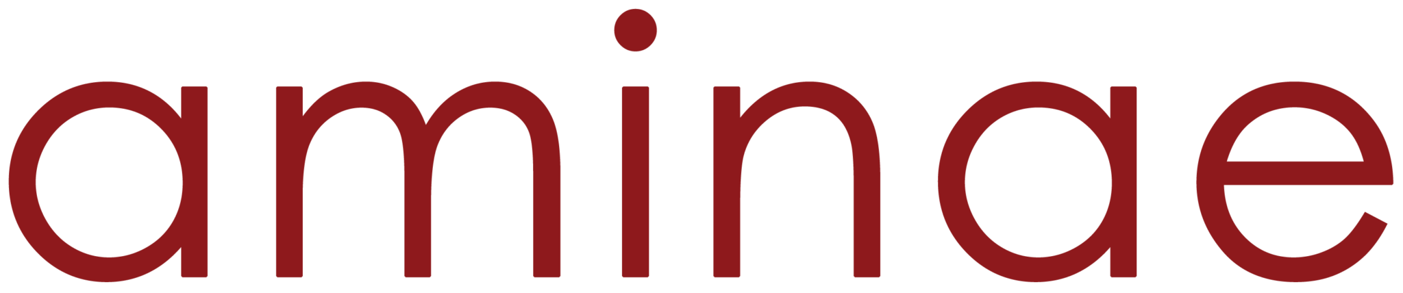 Aminae LLC Aminae LLC